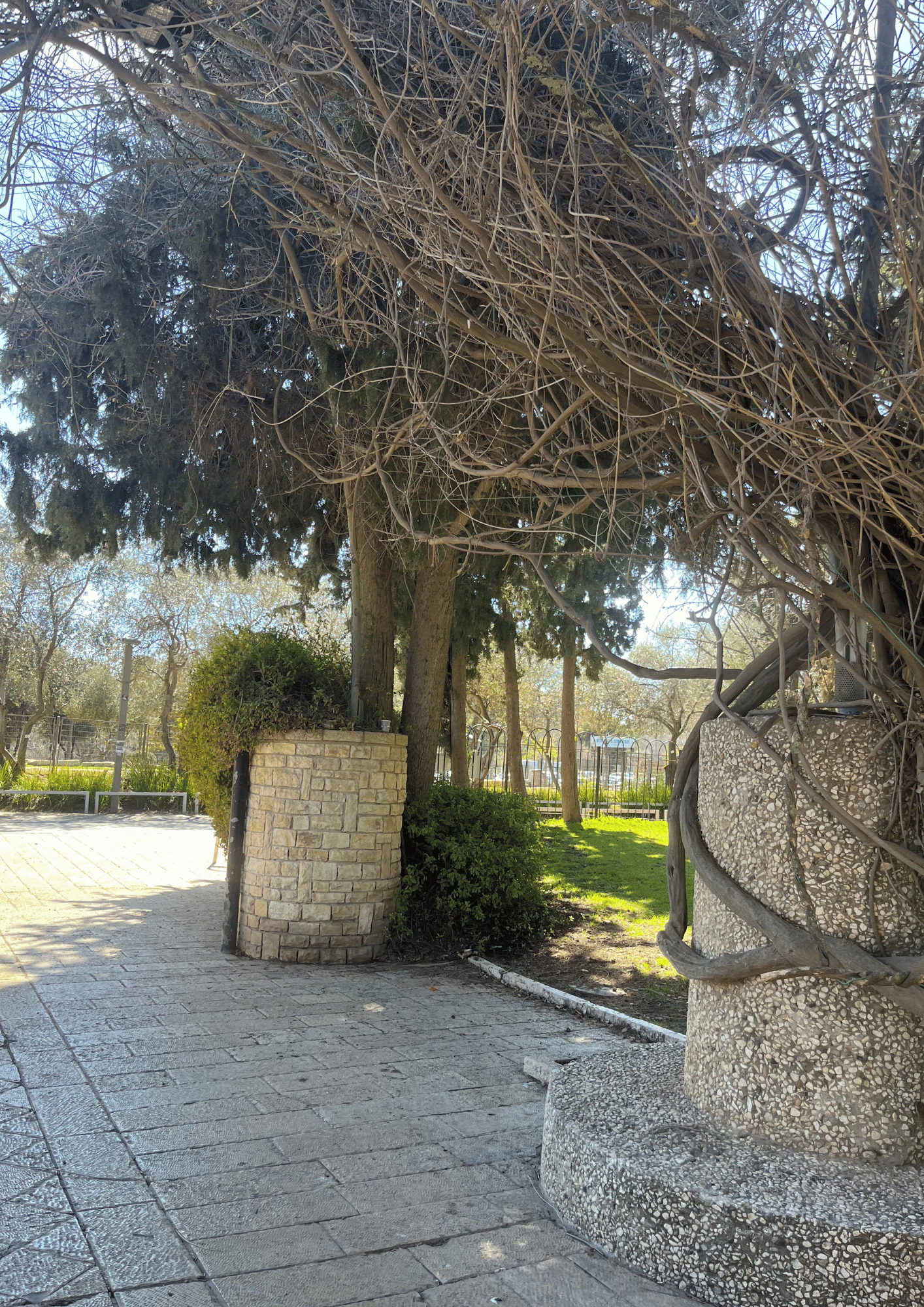 The German Colony: Is it Jerusalem’s Most Enchanting Area?
